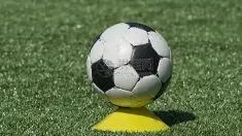 世俱杯买球平台 资讯 113234 1cd